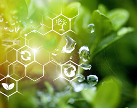 Nitrogen Metabolism