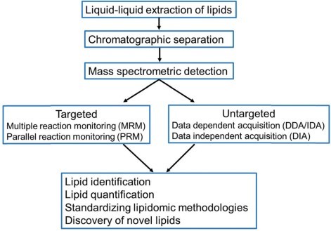 Plant Untargeted Lipidomics Analysis Service | Plant Antibody ...